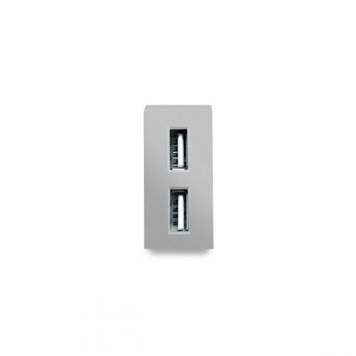 USB 2er Auflade Dose 1/2 Modul in Grau