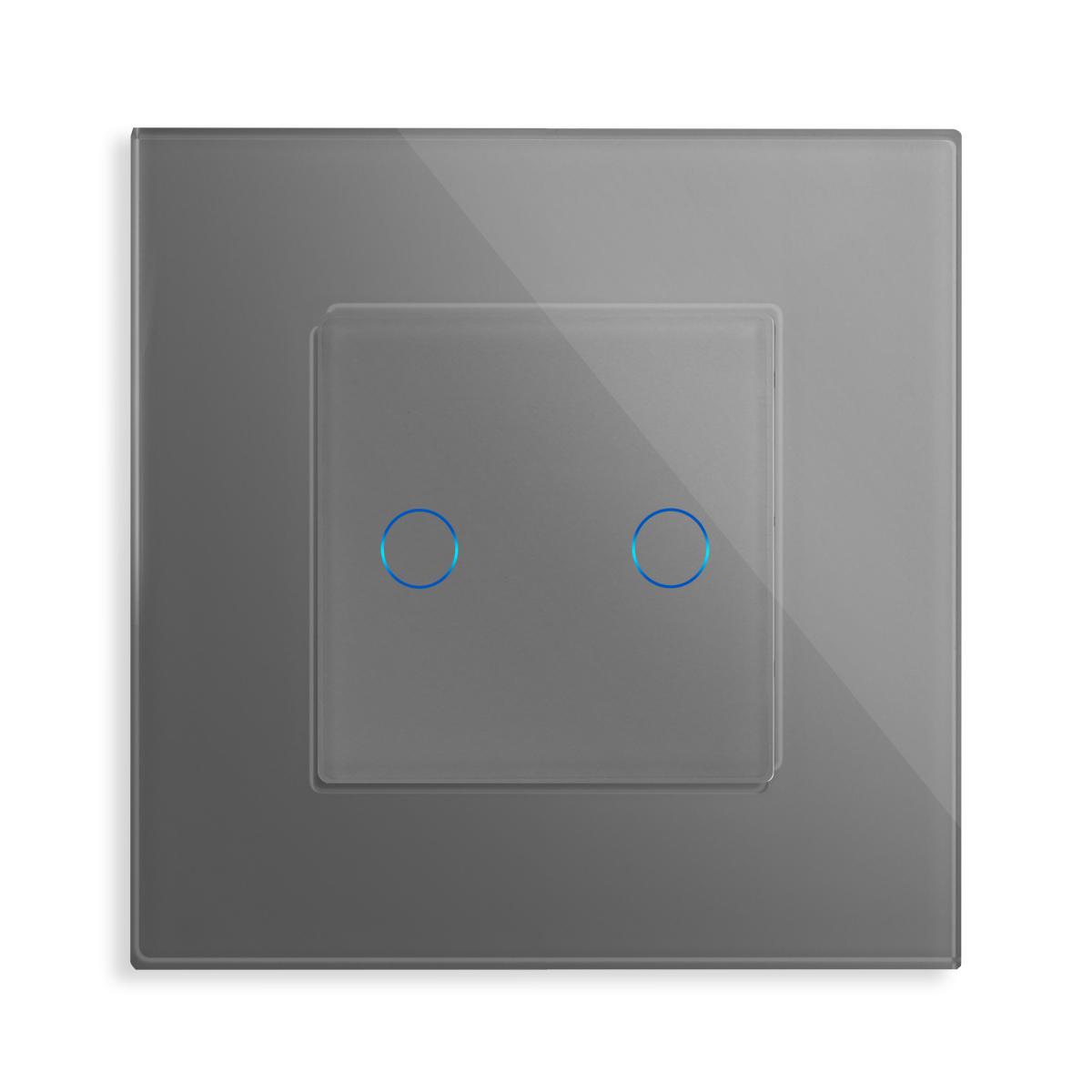 Glas 2-facher WLAN Lichtschalter Touch Grau POINT