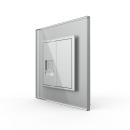 1-fache Netzwerkdose CAT6A VL-C7-1CAT6A/SR-15 Grau LIVOLO 