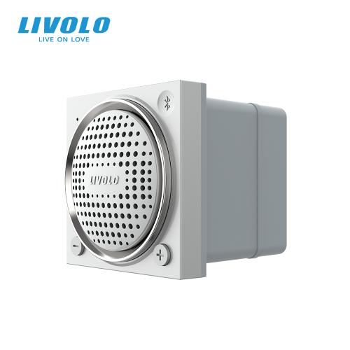 Bluetooth Lautsprecher Modul VL-FCF Grau LIVOLO 