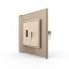 USB- + Netzwerk Module Gold LIVOLO