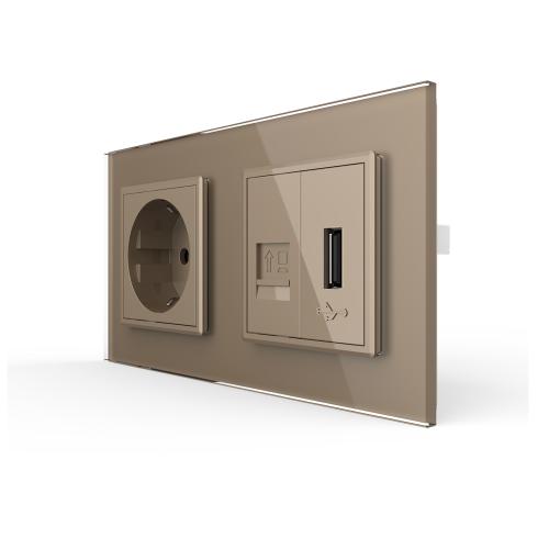 USB + Netzwerk + Steckdosen Module Gold LIVOLO 